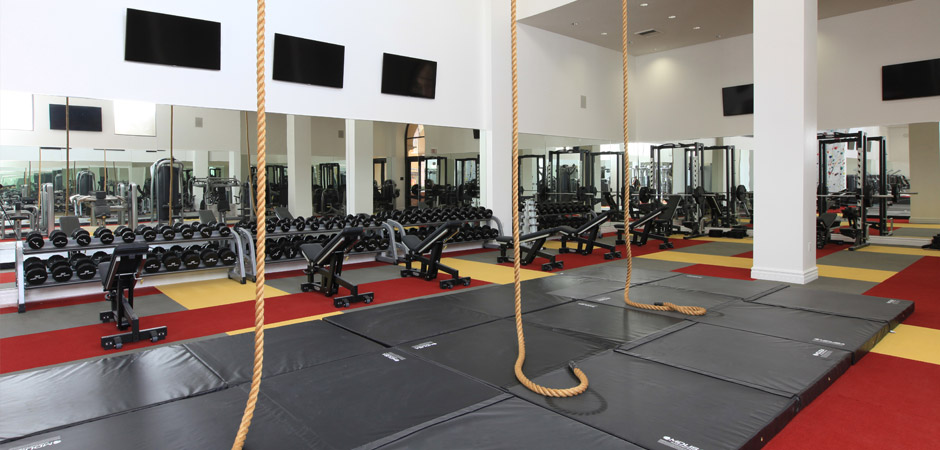 Three Story, State-Of-The-Art Fitness Facility