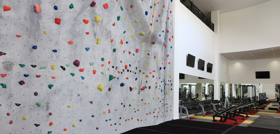 Challenge Yourself on the Climbing Wall